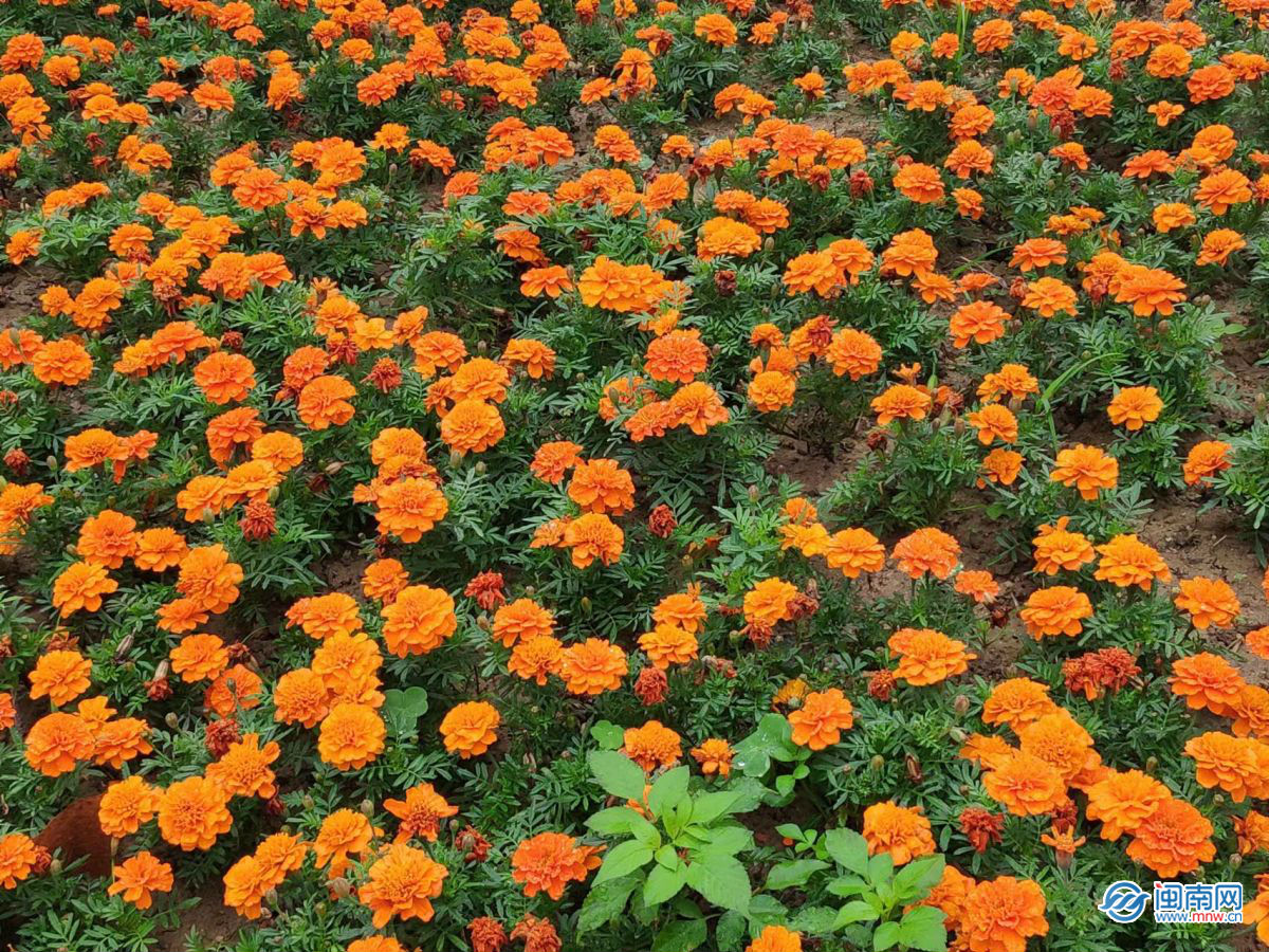 九月文案祝福语说说