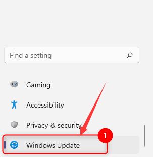 win11怎么更新系统