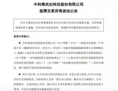 寒武纪：云端智能芯片产品实现大批量销售尚需较长时间周期
