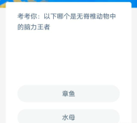 章鱼和水母，哪个是无脊椎动物中的脑力王者？蚂蚁庄园神奇海洋今日最新答案