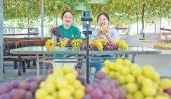 产业促增收直播促销售