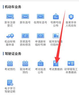 交管12123在哪里缴费